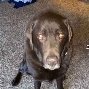 Meet your Posher, Chere